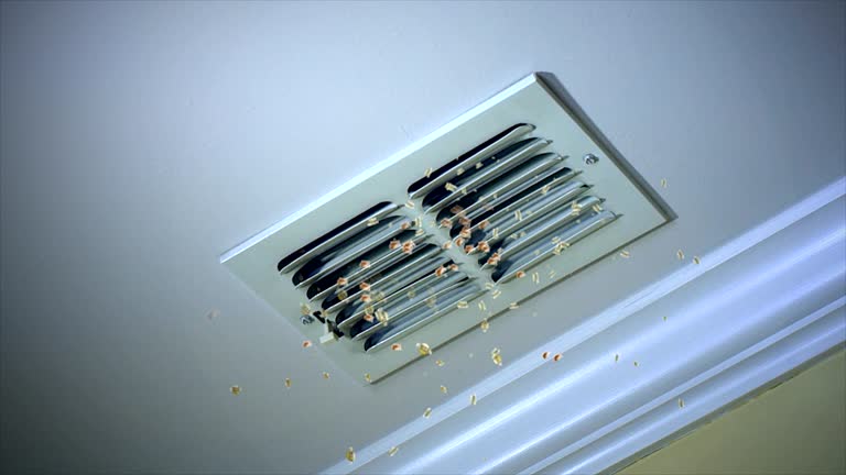 Ductwork Cleaning Services in Wendell, NC