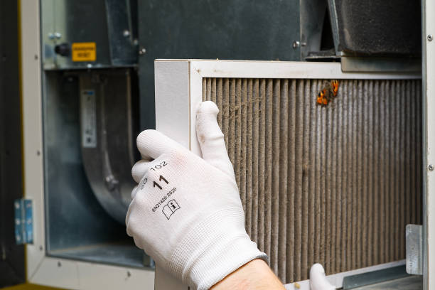 Best Professional Duct Cleaning Services  in Wendell, NC