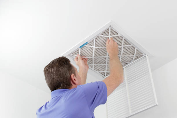 Best Affordable Duct Cleaning Services  in Wendell, NC